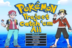 Pokemon Project Catch Em All Image