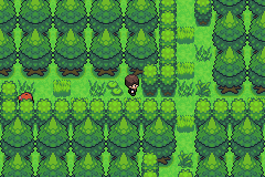 Pokemon Verde Musgo Image
